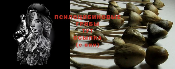 прущая мука Козловка