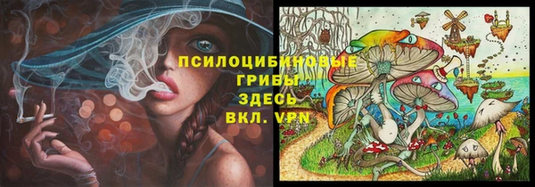 бошки Козельск