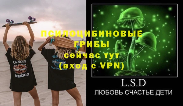 прущая мука Козловка