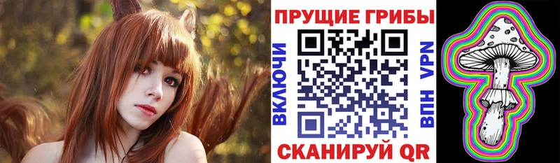 Купить  Котово  Галлюциногенные грибы MAGIC MUSHROOMS 